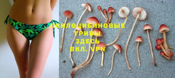 спайс Михайловск