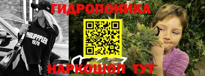 a pvp Берёзовский