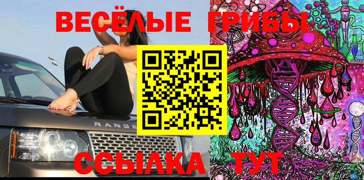 Псилоцибиновые грибы Psilocybine cubensis  Псилоцибиновые грибы Cubensis  Ишимбай 