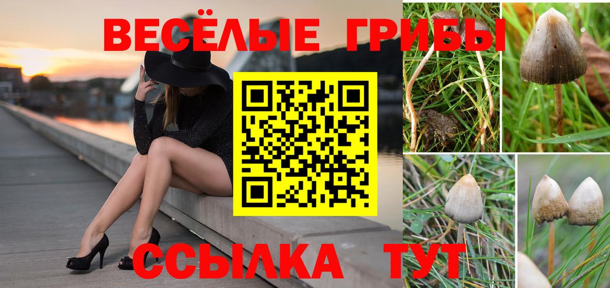 Псилоцибиновые грибы мицелий  Вход с VPN  Ишимбай 